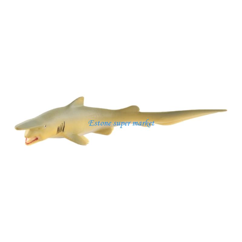090B Realistic Fish Animal Mod - Science Exhibition Models ulasan dan harga