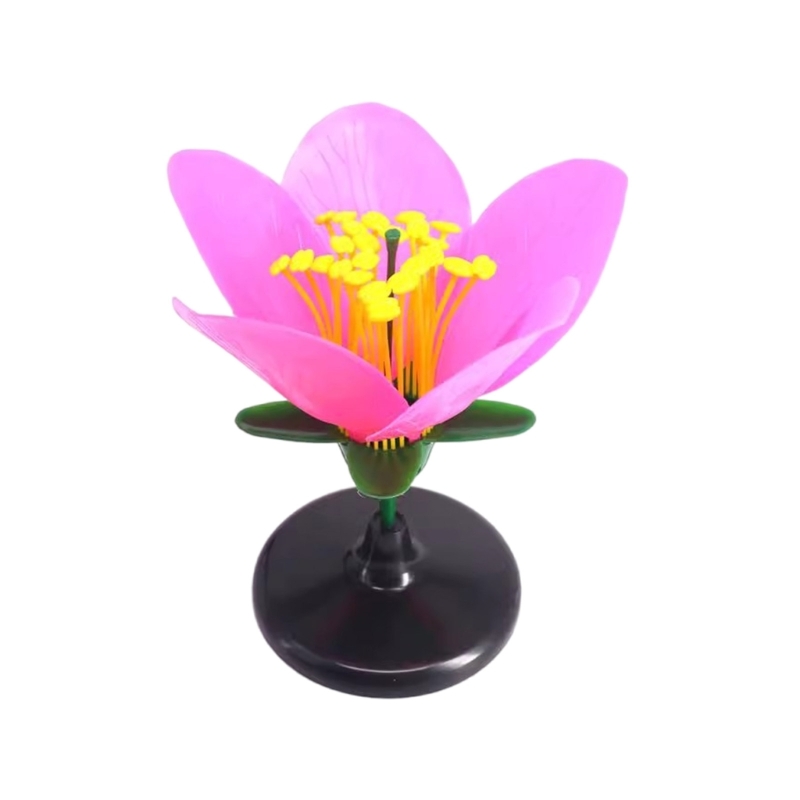 K9FC Realistic Plant Teaching  - Science Exhibition Models ulasan dan harga
