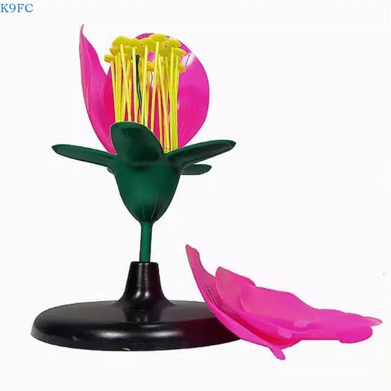 K9FC Realistic Plant Teaching  - Science Exhibition Models ulasan dan harga