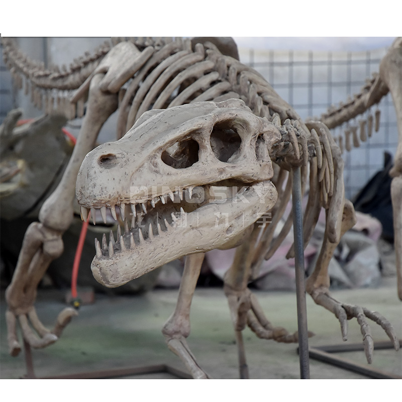 ATV&UTVResin Raptor Skeleton F - Science Exhibition Models ulasan dan harga