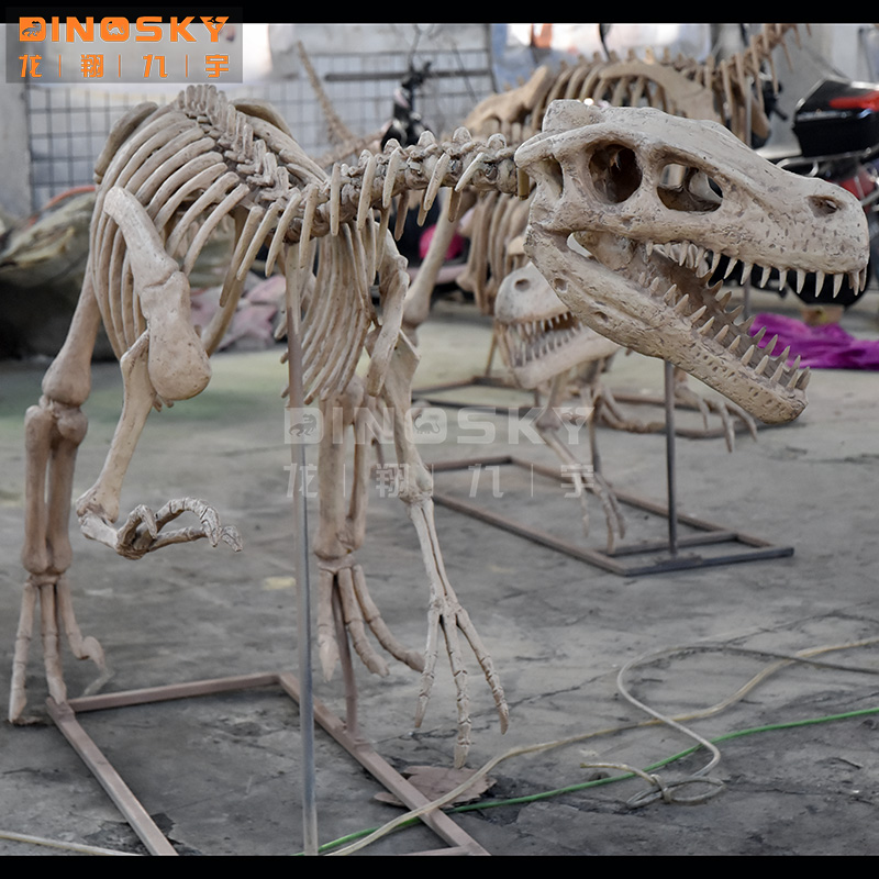 ATV&UTVResin Raptor Skeleton F - Science Exhibition Models ulasan dan harga